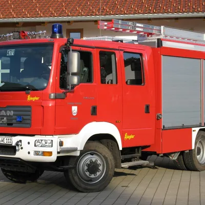 lf10_1.jpg